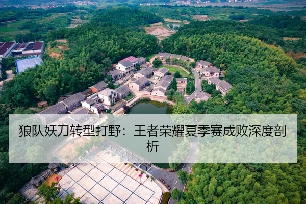 狼队妖刀转型打野：王者荣耀夏季赛成败深度剖析