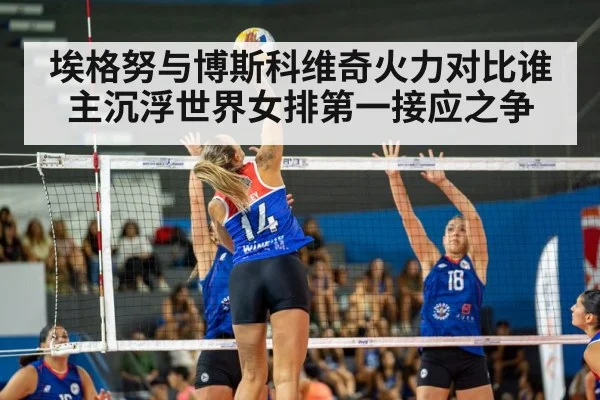 埃格努与博斯科维奇火力对比谁主沉浮世界女排第一接应之争